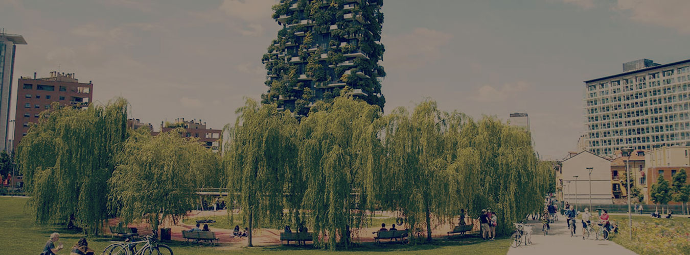 Parco Biblioteca degli Alberi image