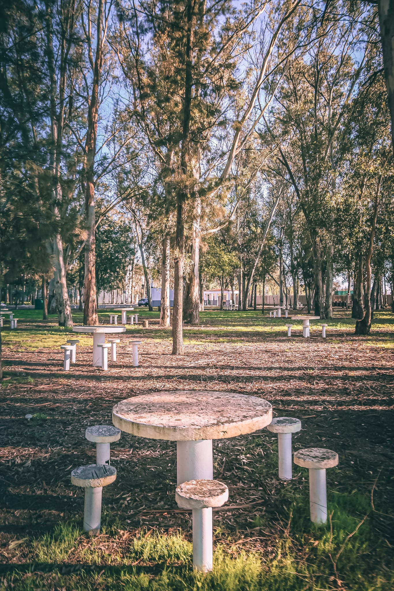 Parque de Merendas (Mata da Cidade de Beja) image