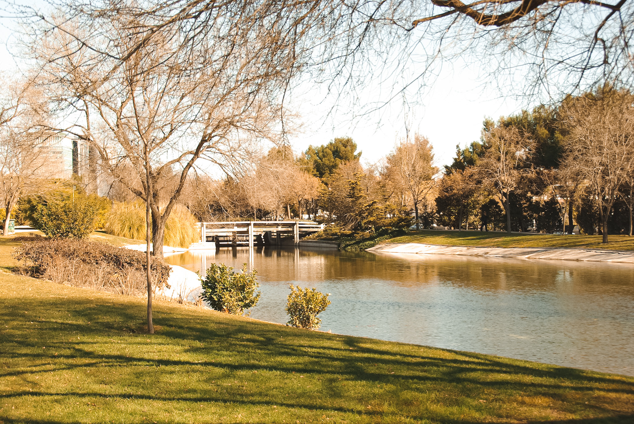 Parque Tierno Galván image