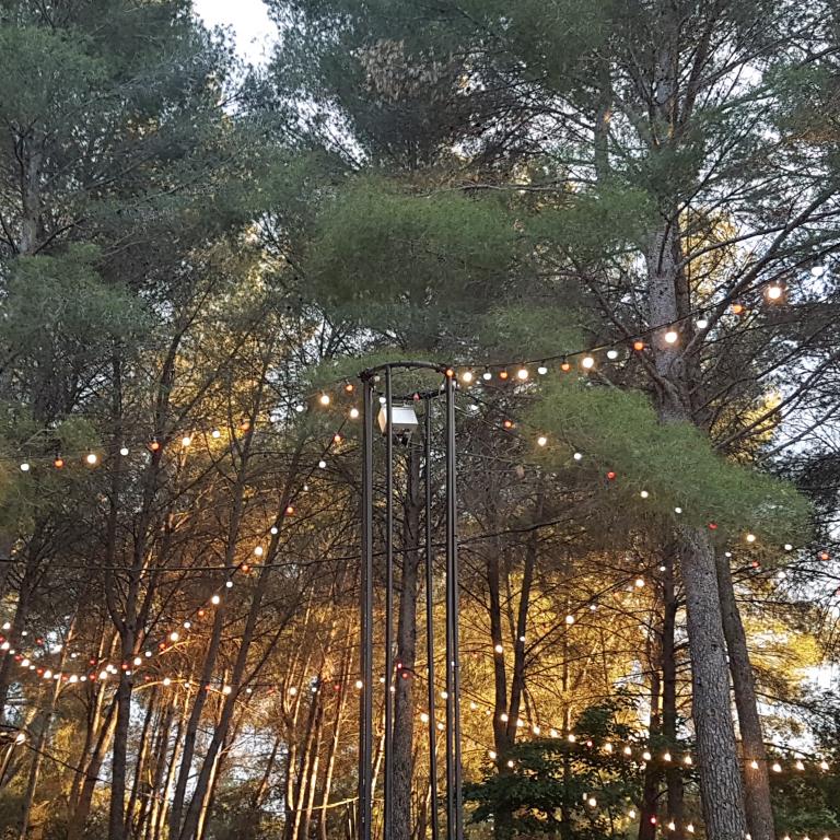 PINÈDE DU DOMAINE D'O image