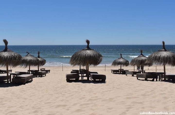 Cover for venue: Praia da Nova Vaga, Costa da Caparica