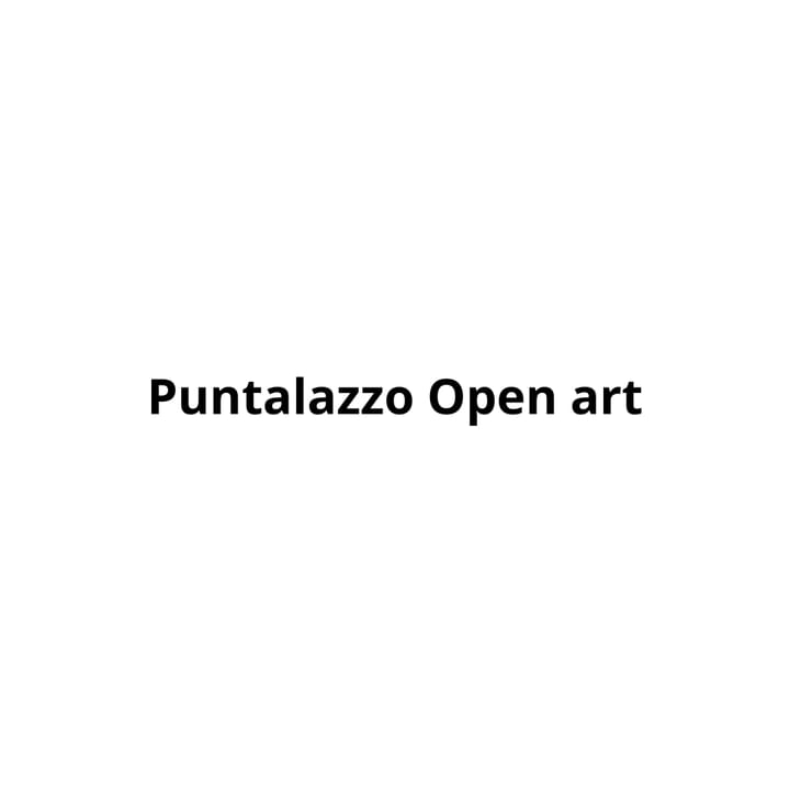 Cover for venue: Puntalazzo Open art