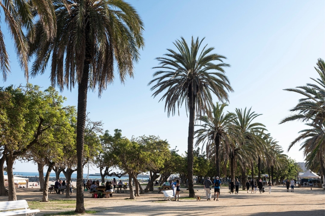 Secret Location Mataró image