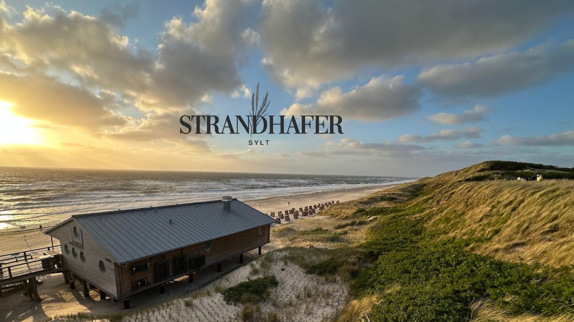 Strandhafer Sylt image