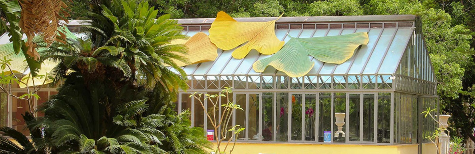 Talea - Orto Botanico image