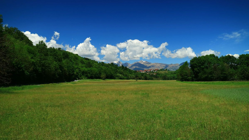 Area Naturalistica Pianezze