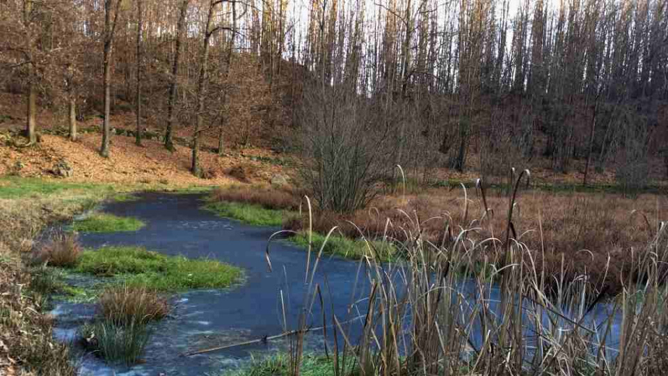 Area Naturalistica Pianezze