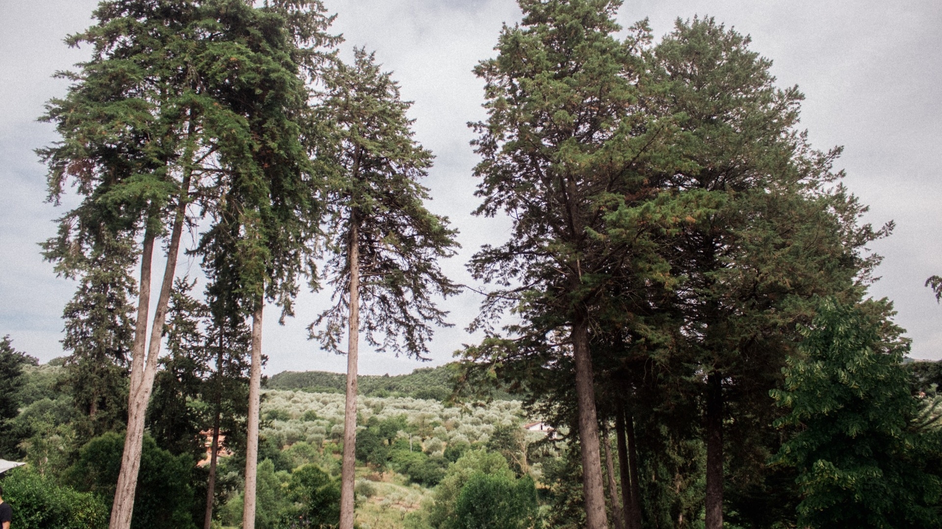 The Mode - Auletta gallery image