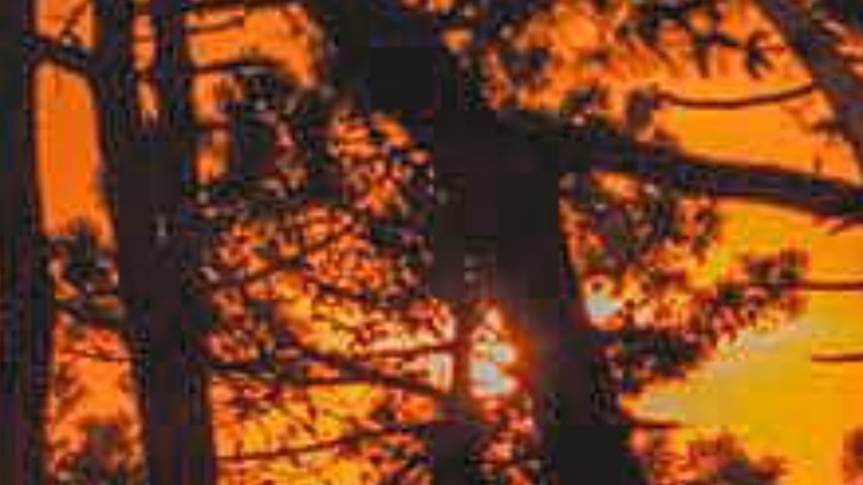 Bambi Café gallery image