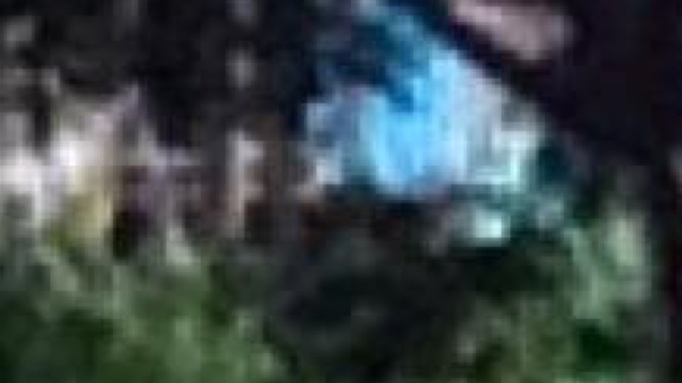 Bambi Café gallery image