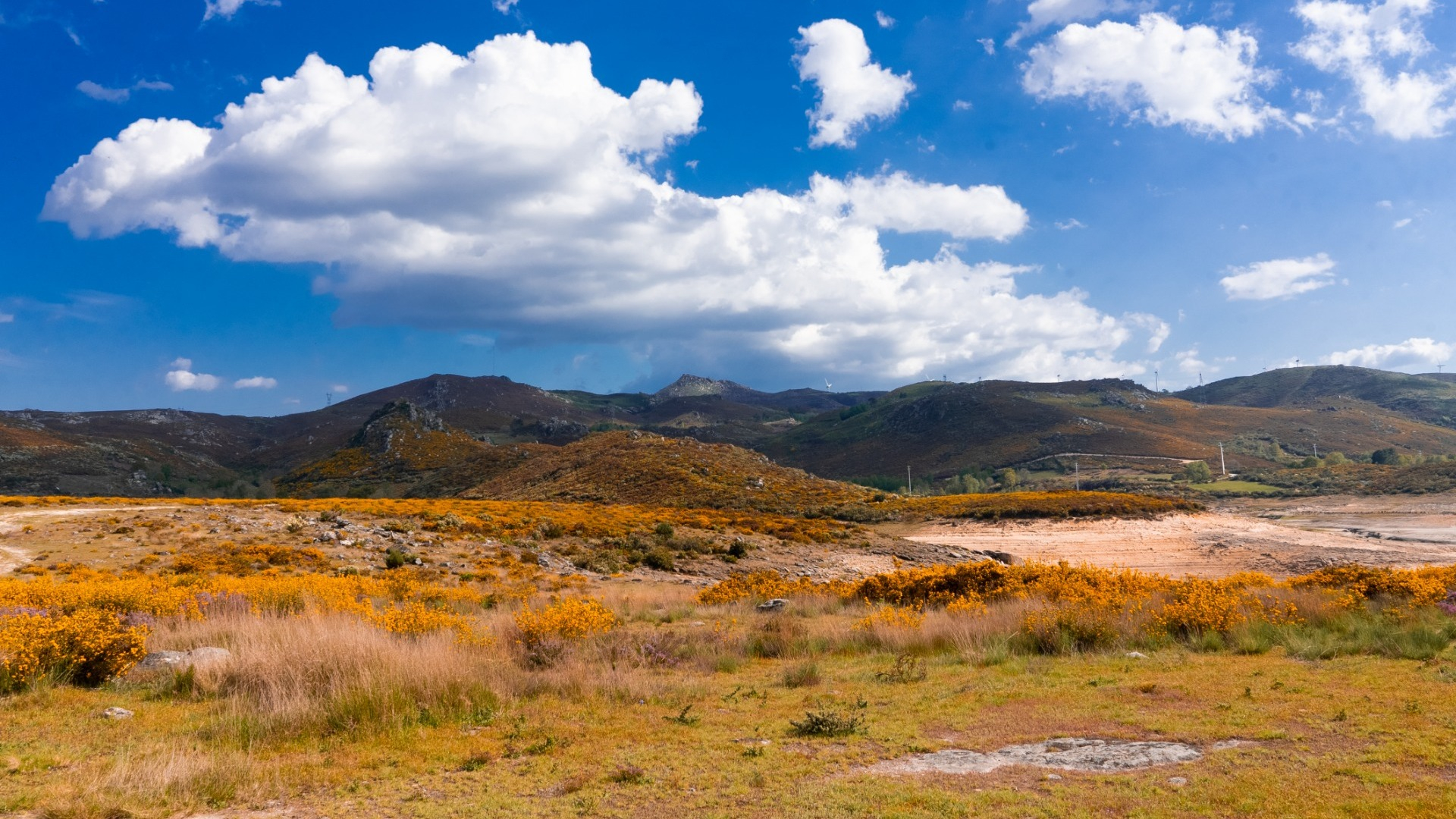 Basilar Festival gallery image