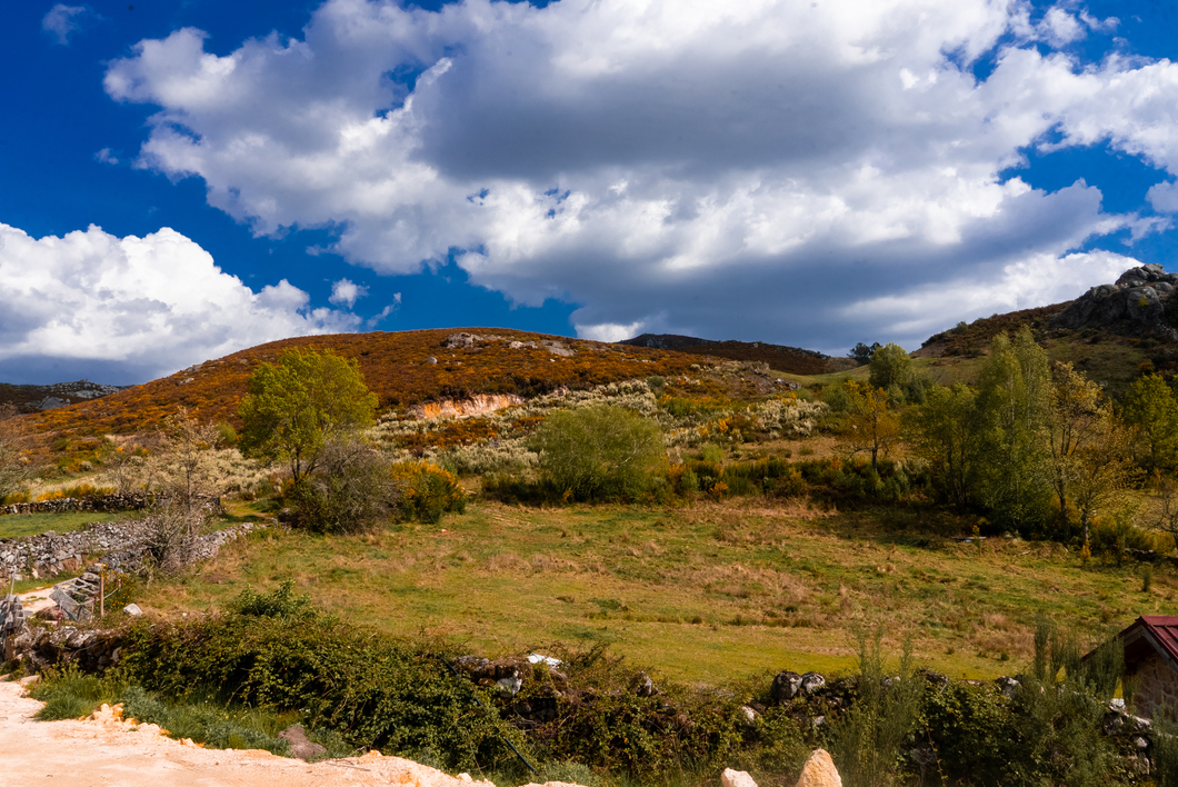 Basilar Festival gallery image