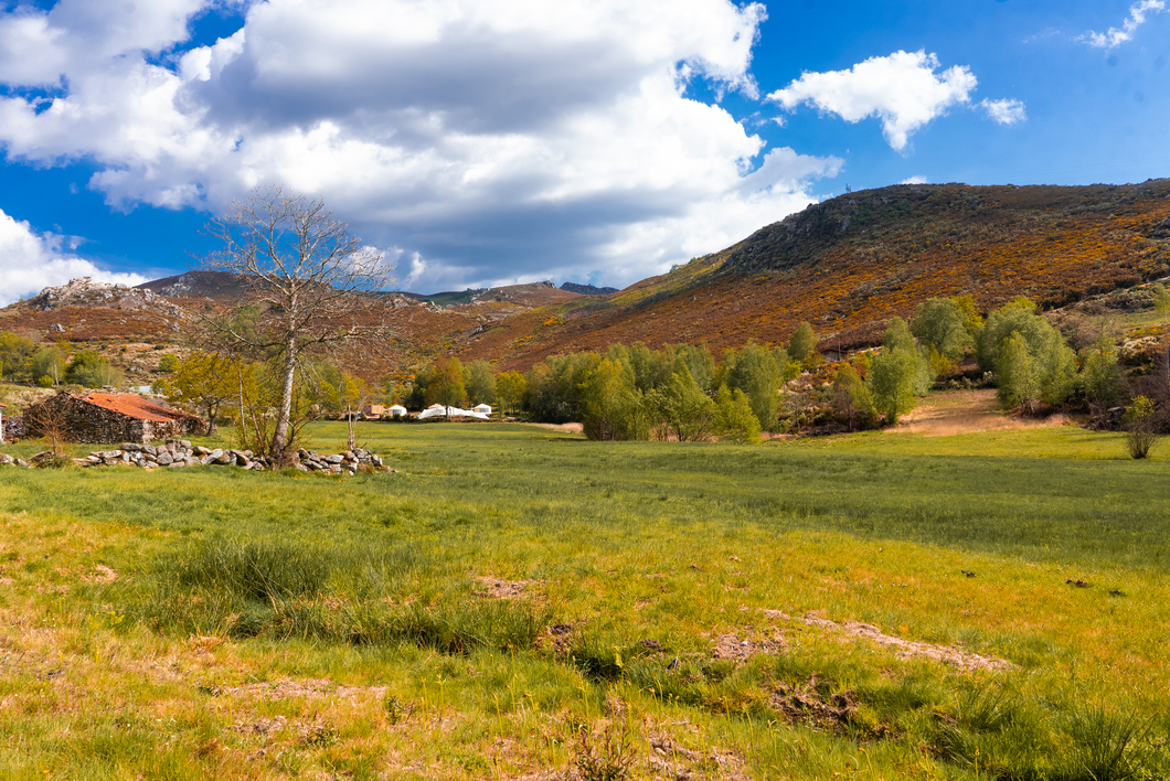 Basilar Festival gallery image