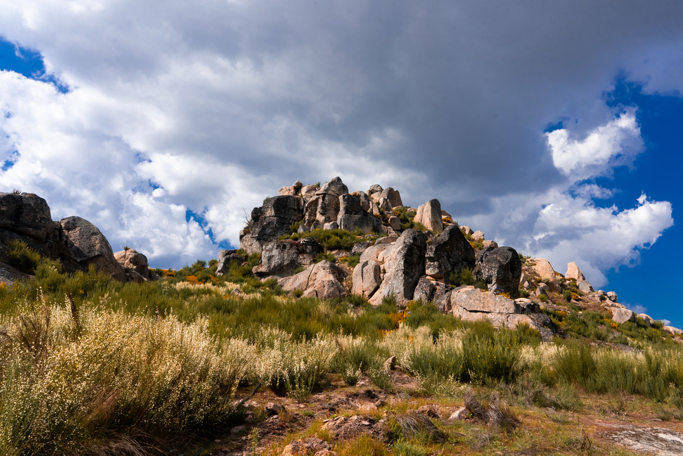 Basilar Festival gallery image