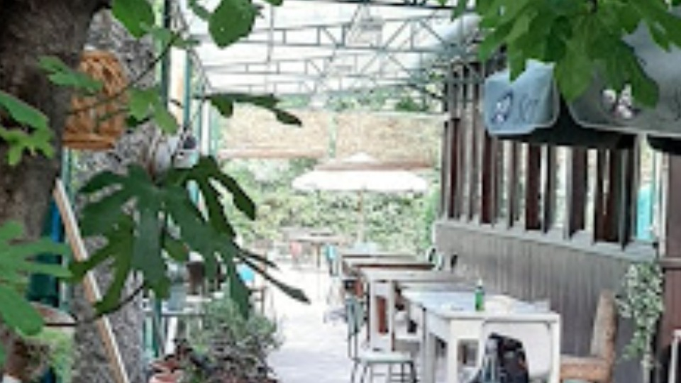 Bocciofila Vanchiglietta Rami Secchi