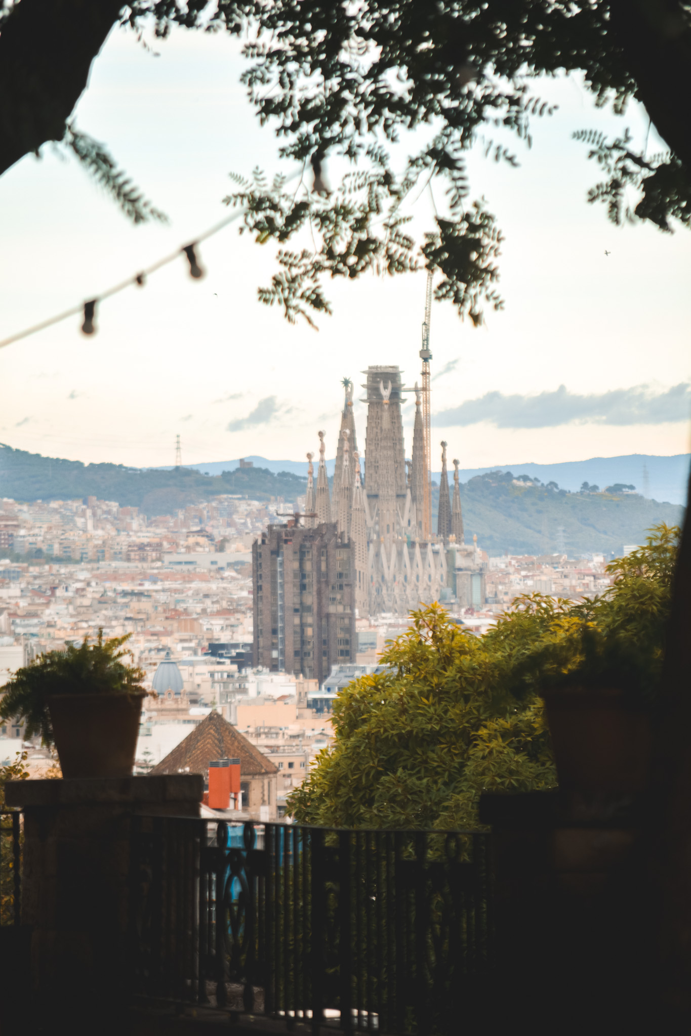 Botánic Miramar gallery image