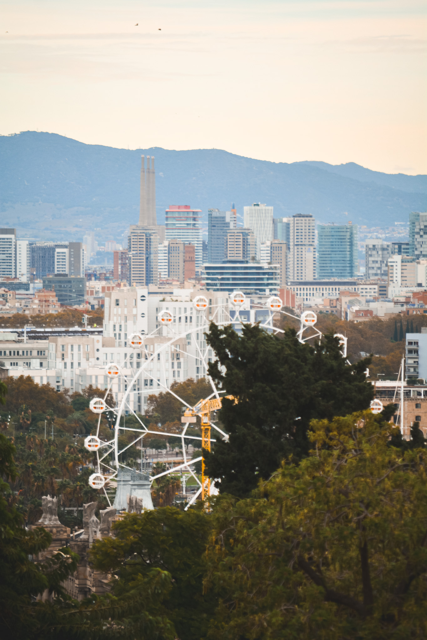 Botánic Miramar gallery image