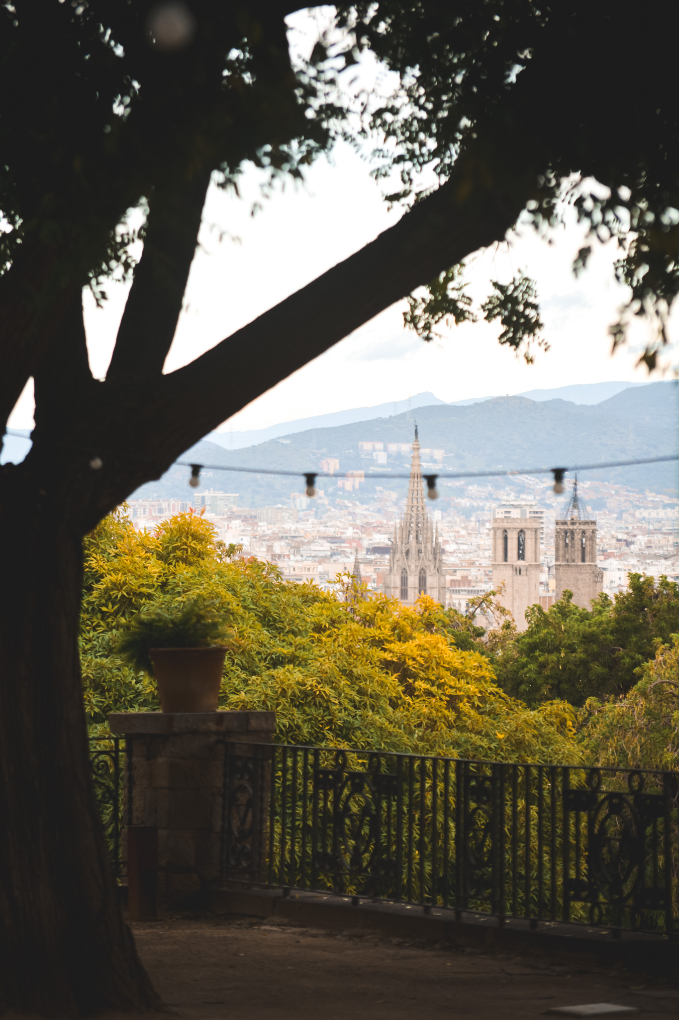 Botánic Miramar gallery image