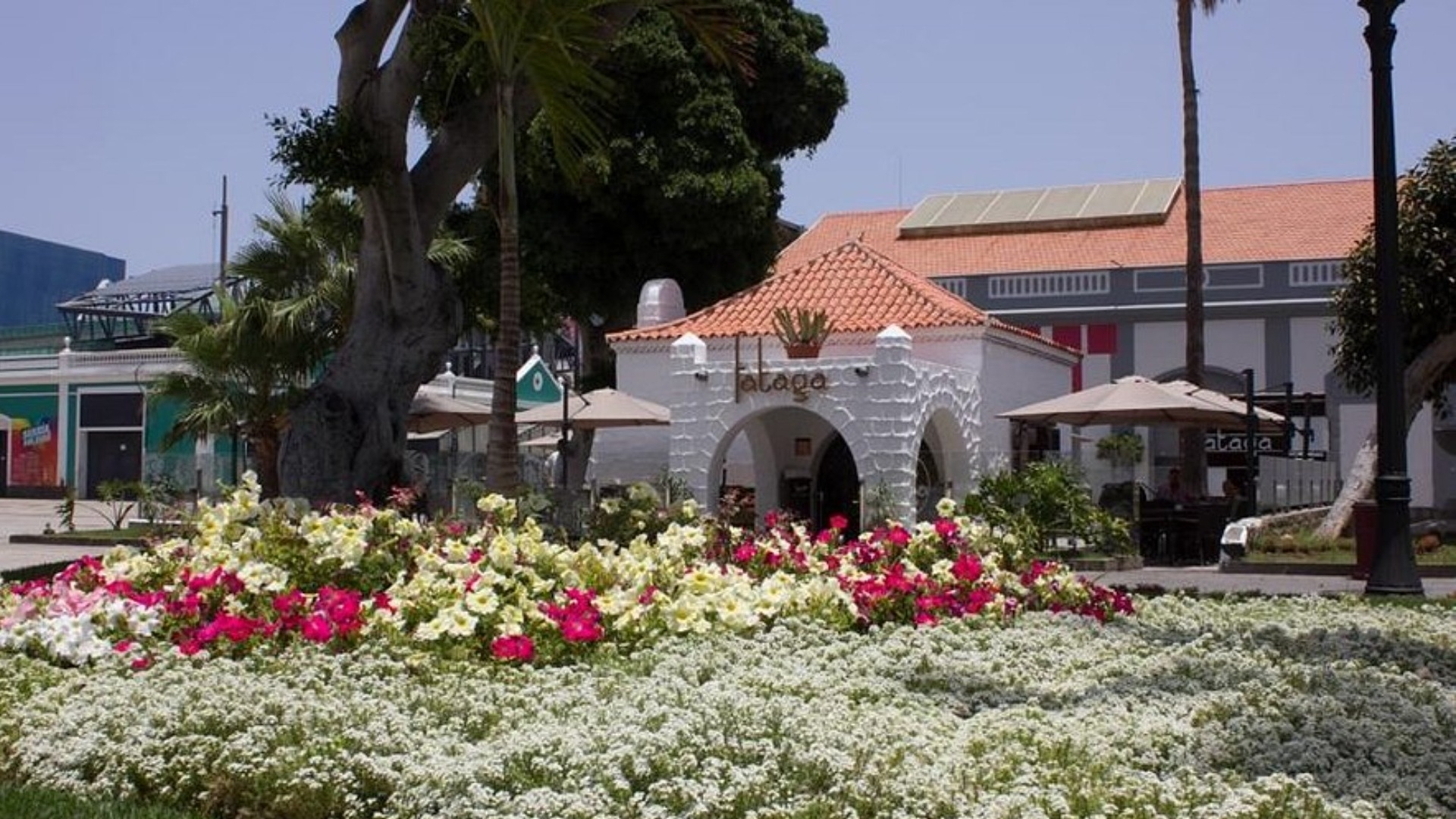 Casa Fataga gallery image