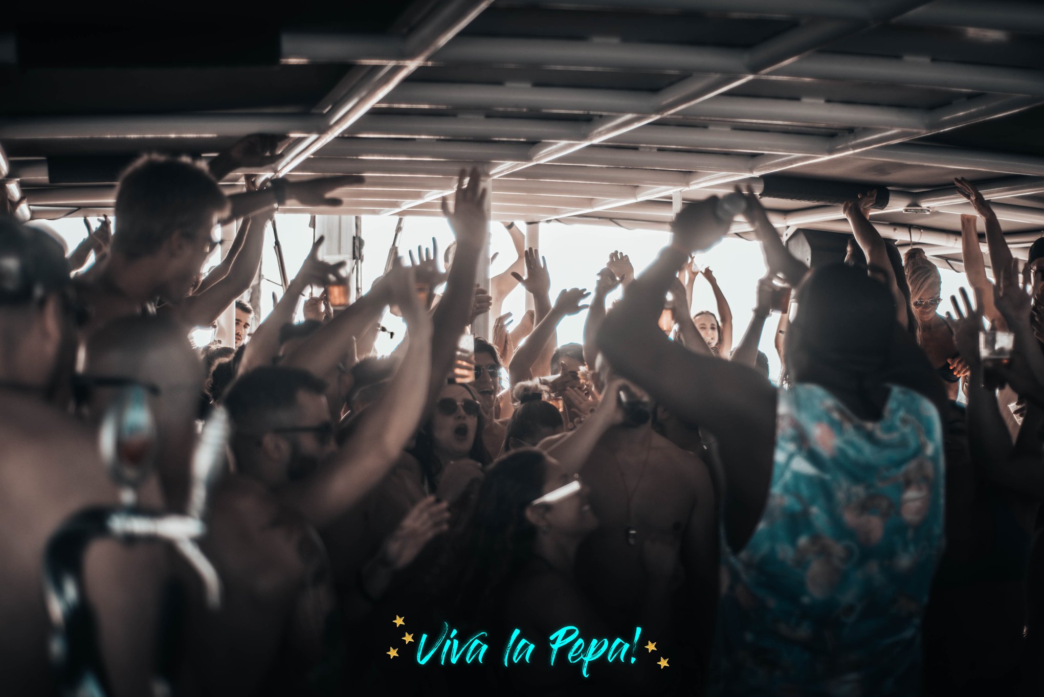 Catamaran Sensation gallery image