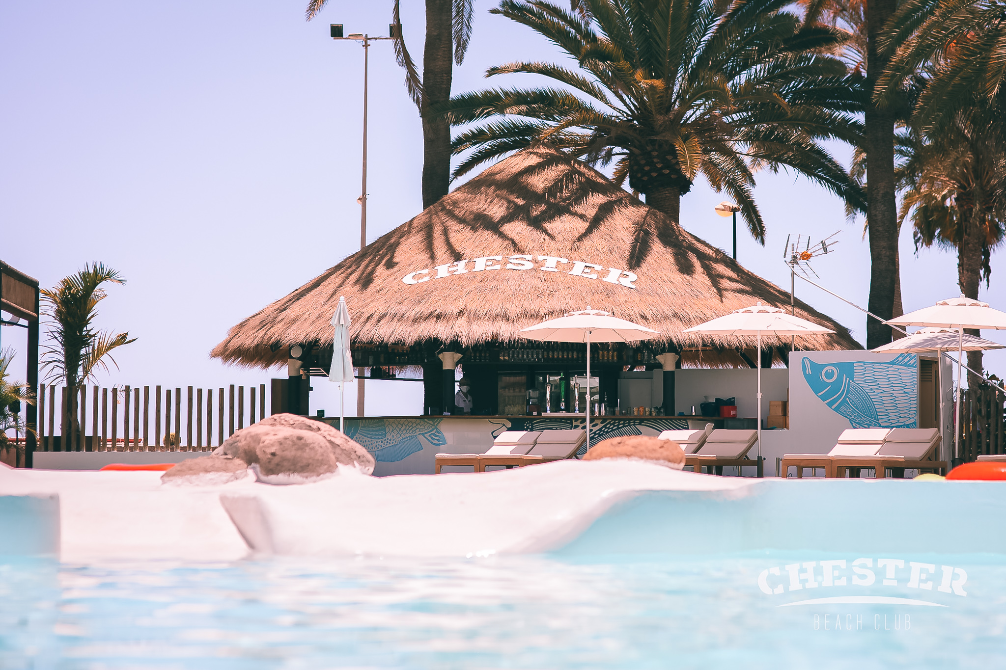 Chester Club Las Palmas gallery image