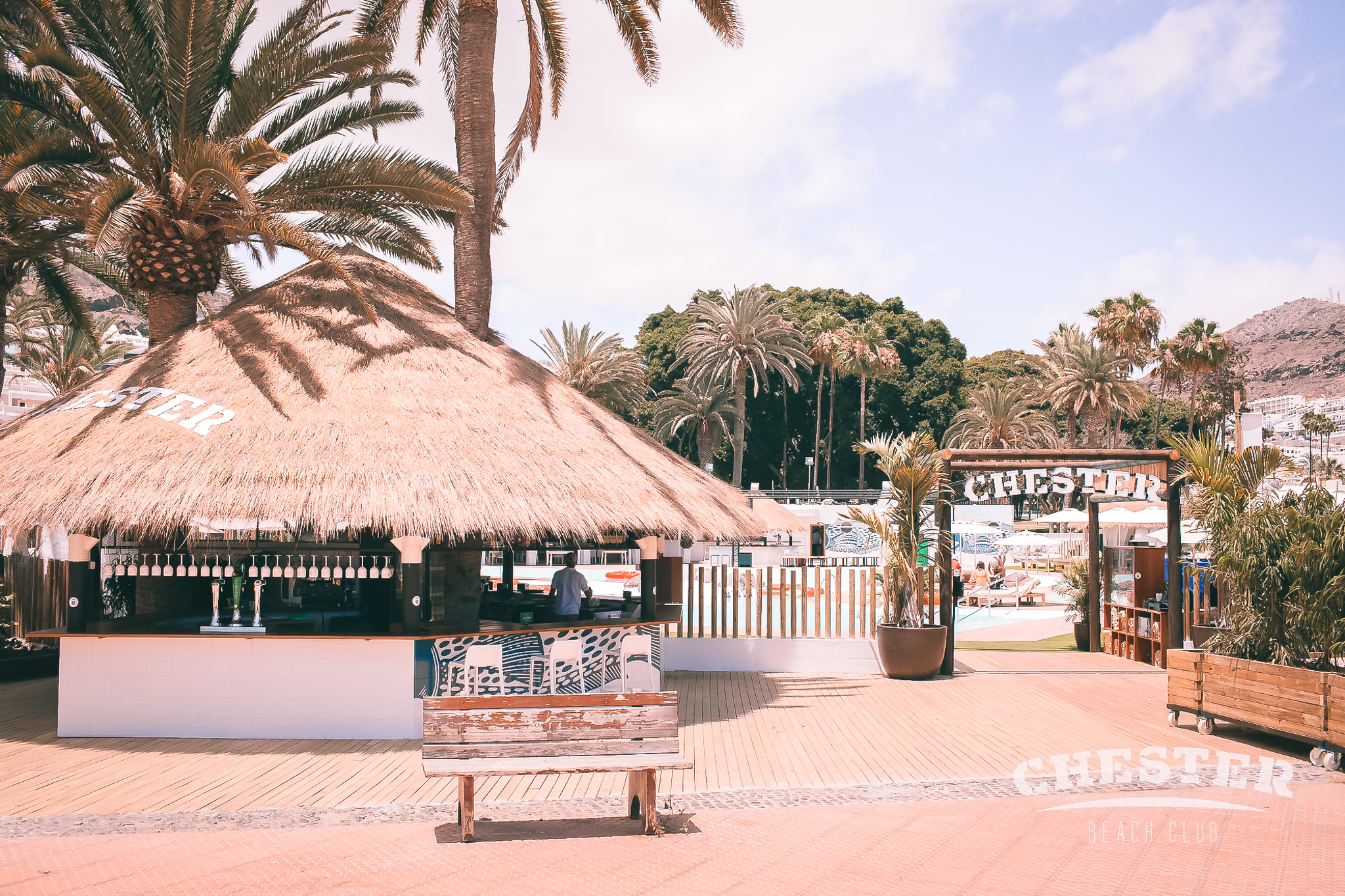 Chester Club Las Palmas gallery image