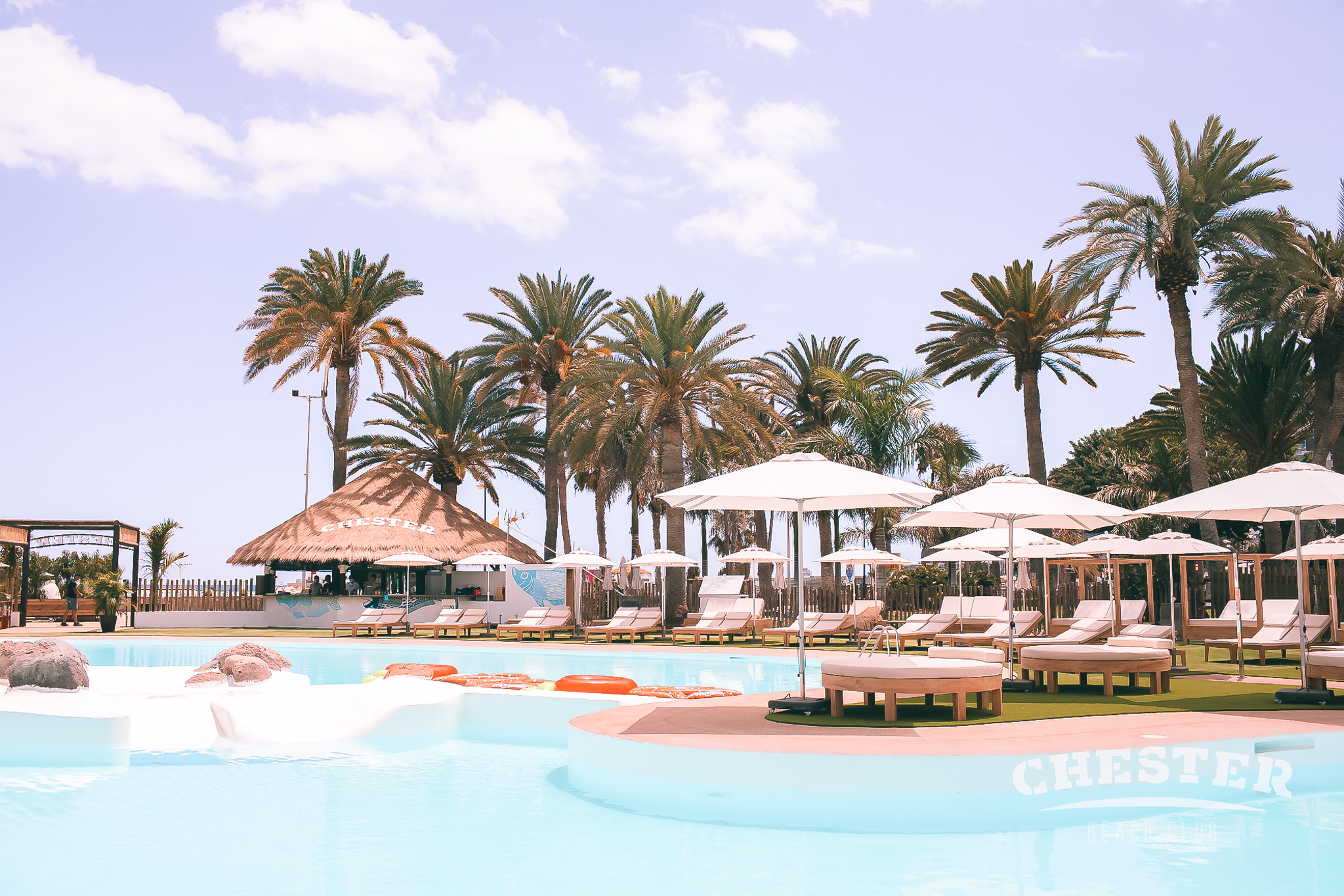 Chester Club Las Palmas gallery image