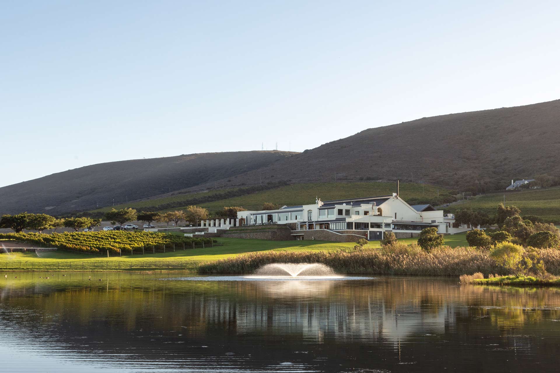 De Grendel Wine Estate