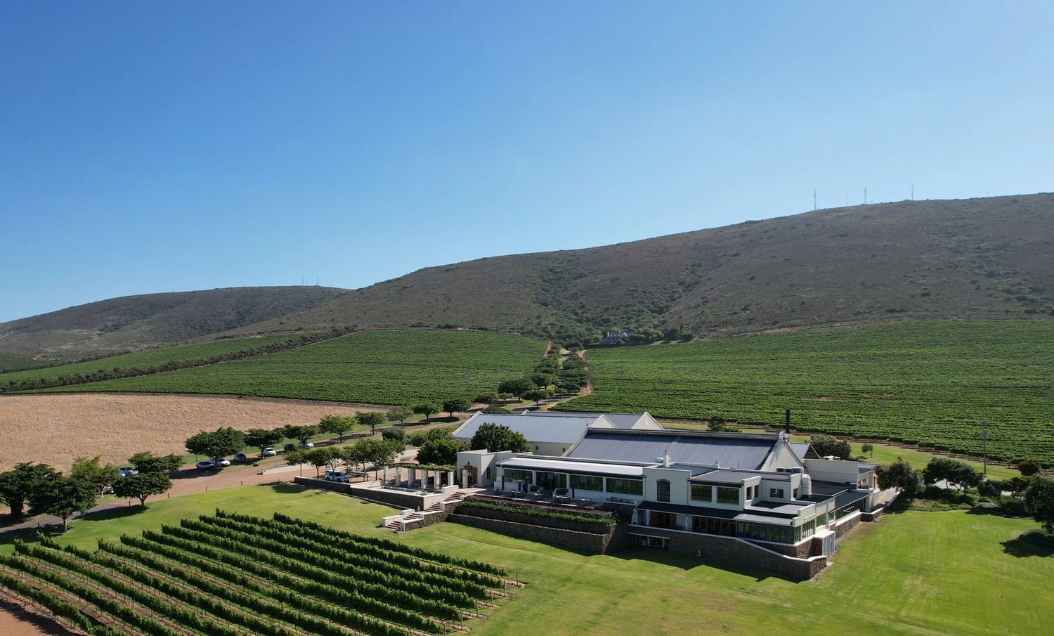 De Grendel Wine Estate