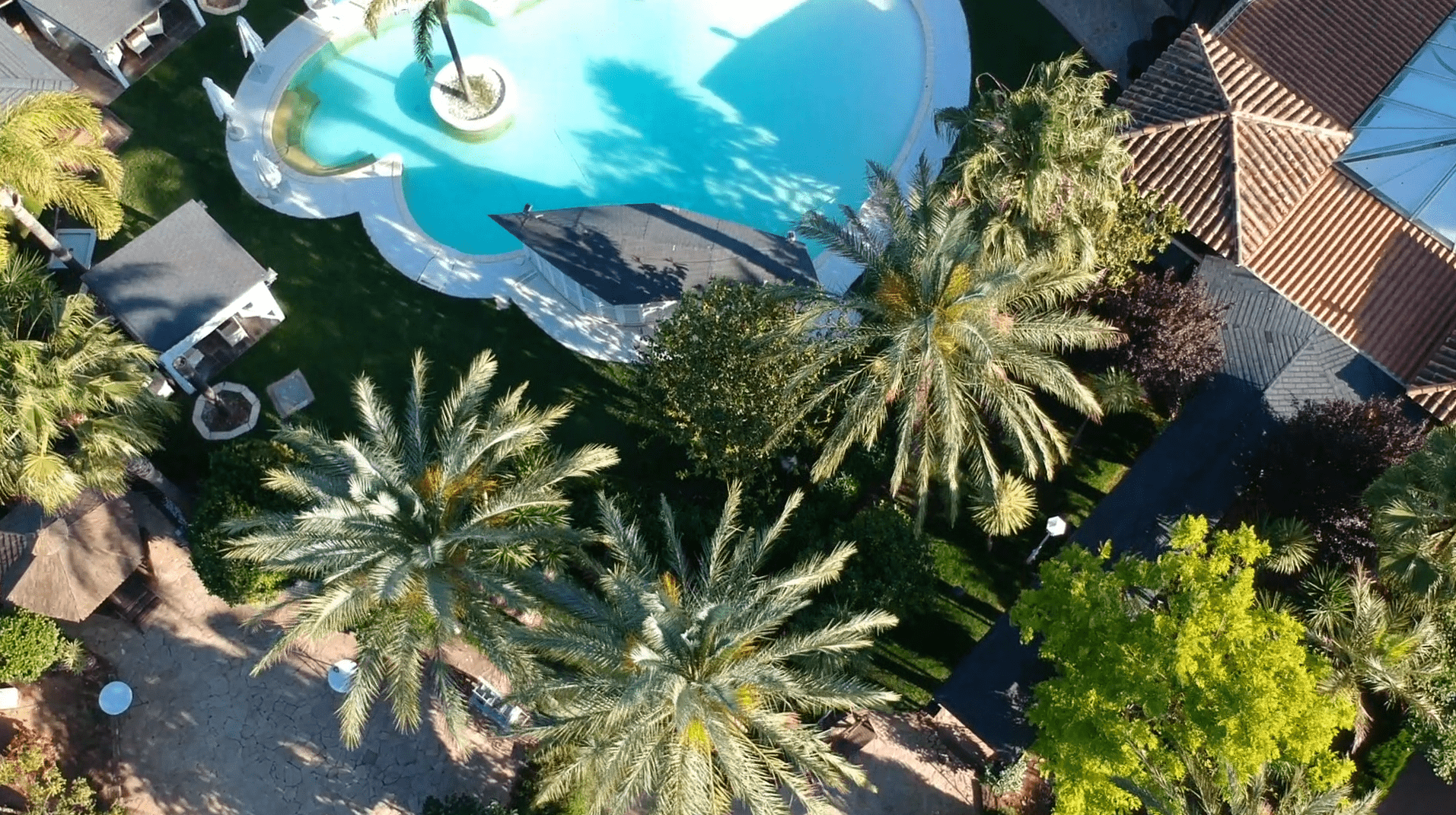 Dharma Pool Club gallery image