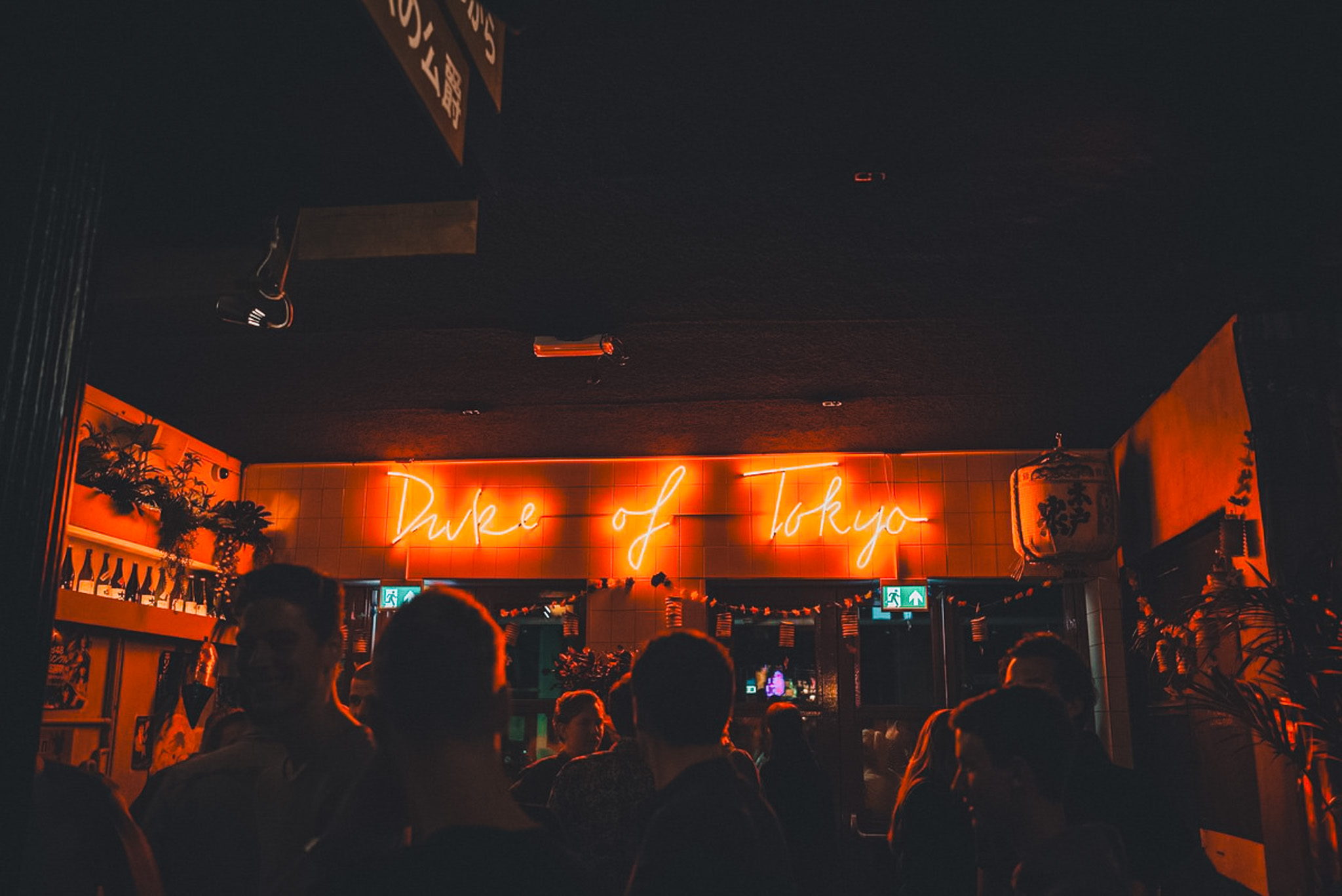 Duke of Tokyo gallery image