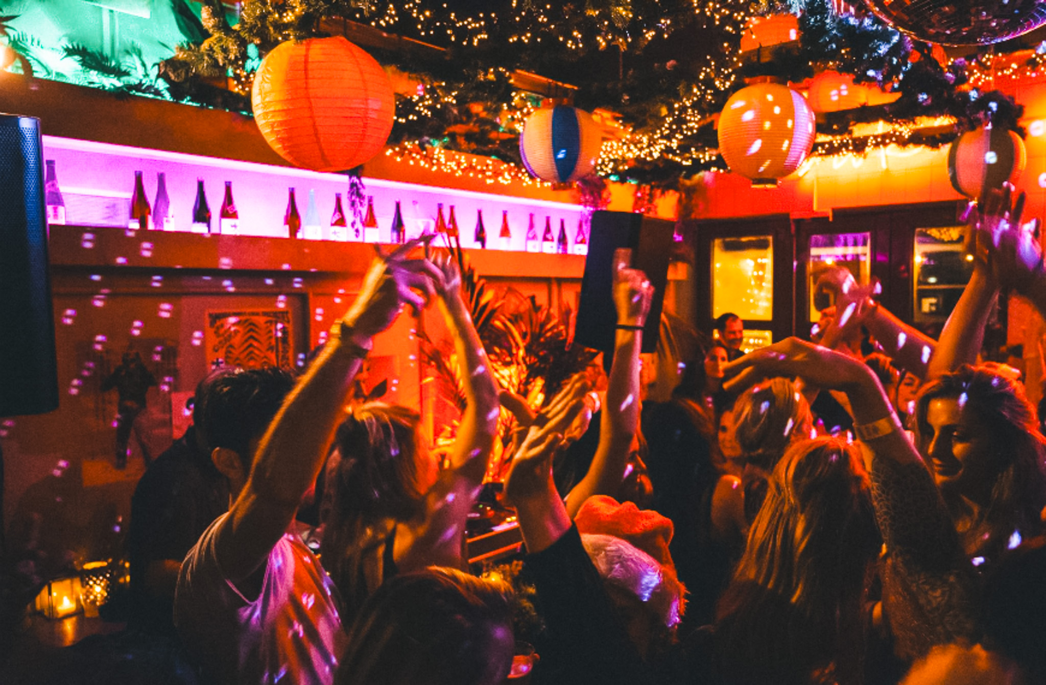 Duke of Tokyo gallery image