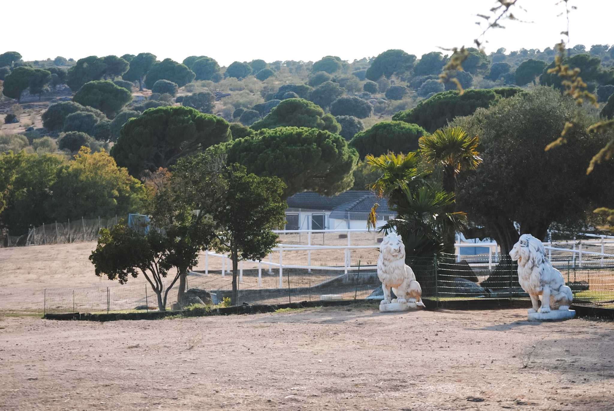 Finca Molina gallery image