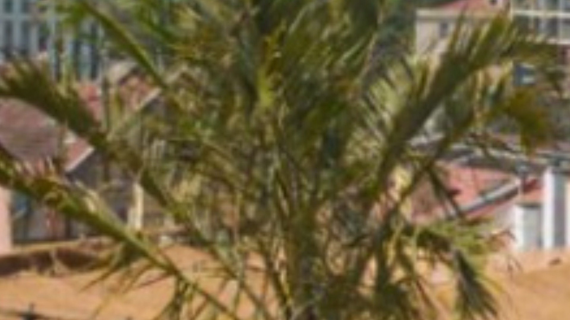 Go A Lisboa gallery image