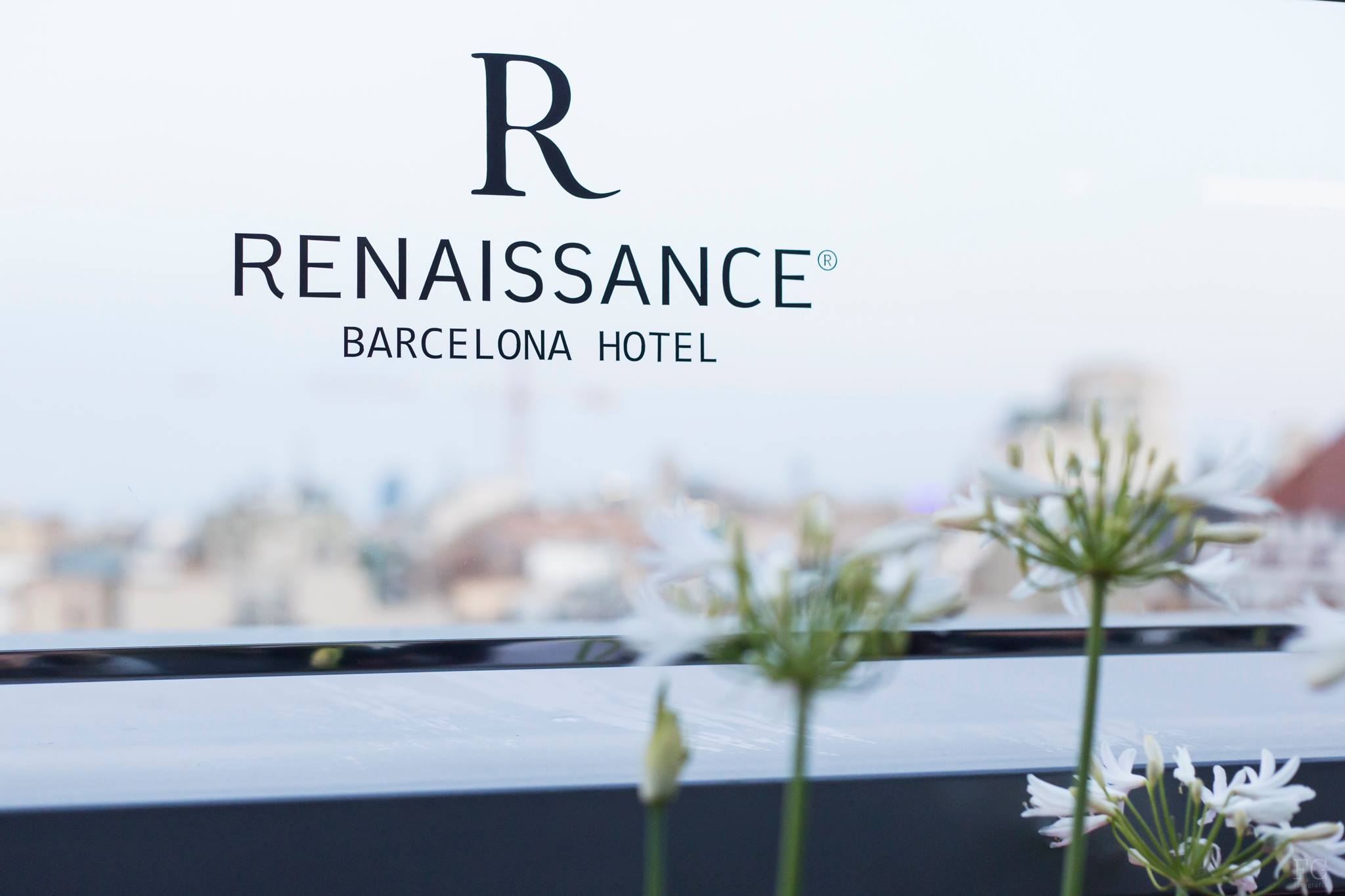 Hotel Renaissance gallery image