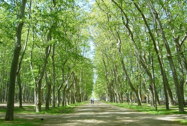 Jardins de la Devesa gallery image