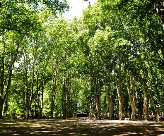 Jardins de la Devesa gallery image