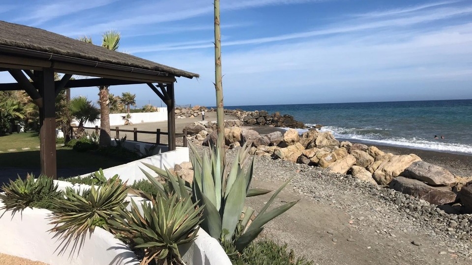 La Terraza de Mangoa