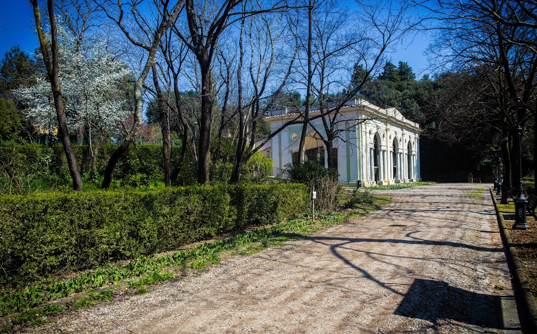 Limonaia di Villa Strozzi gallery image