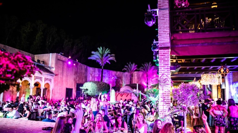 LØV by Olivia Valere gallery image