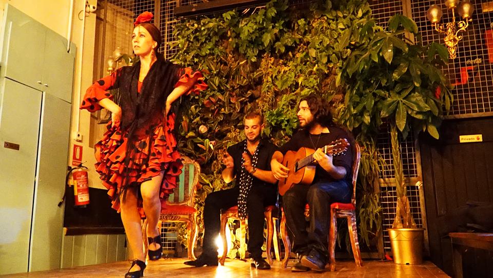 Marcopolos gallery image