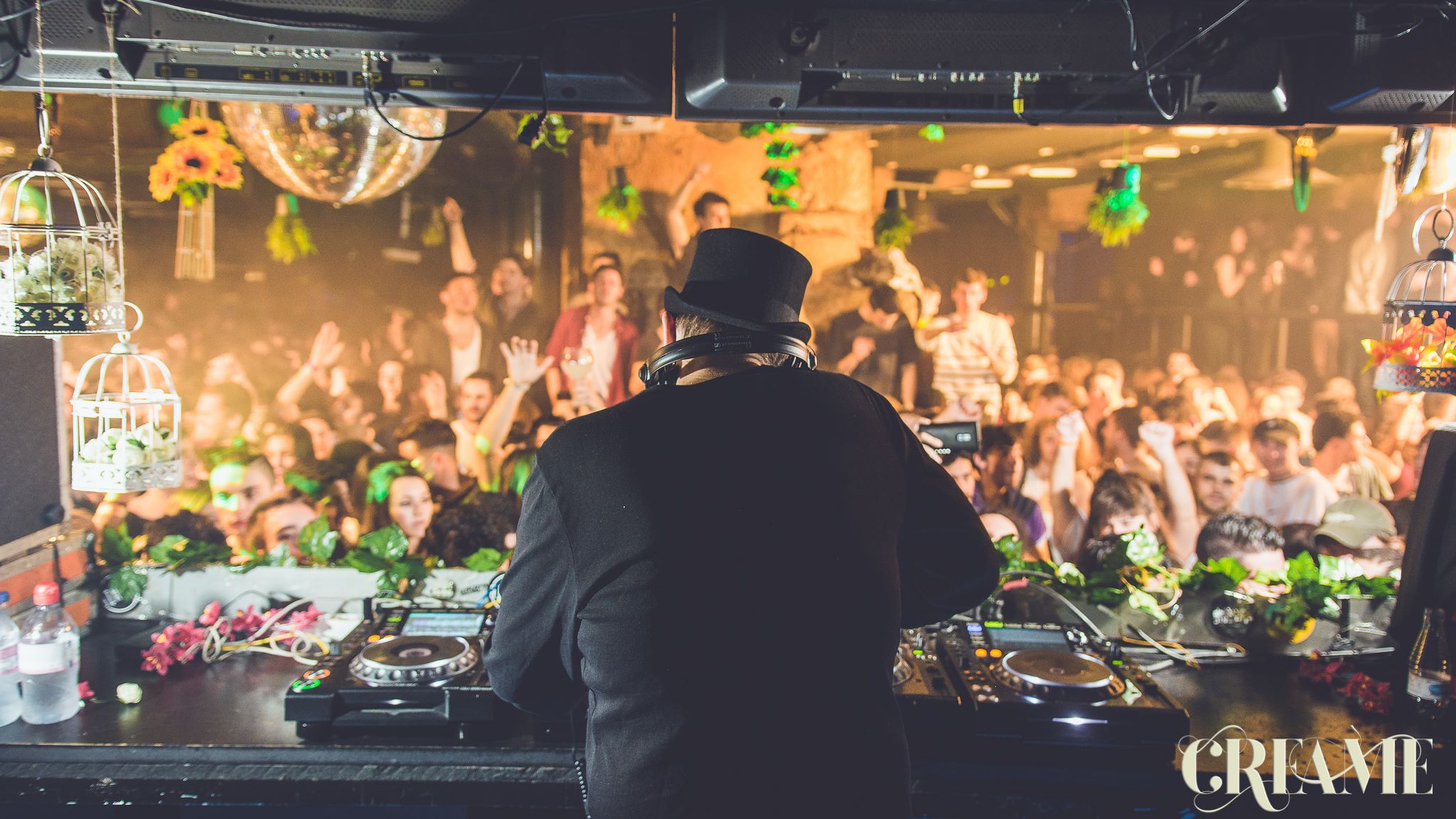 Maxime gallery image