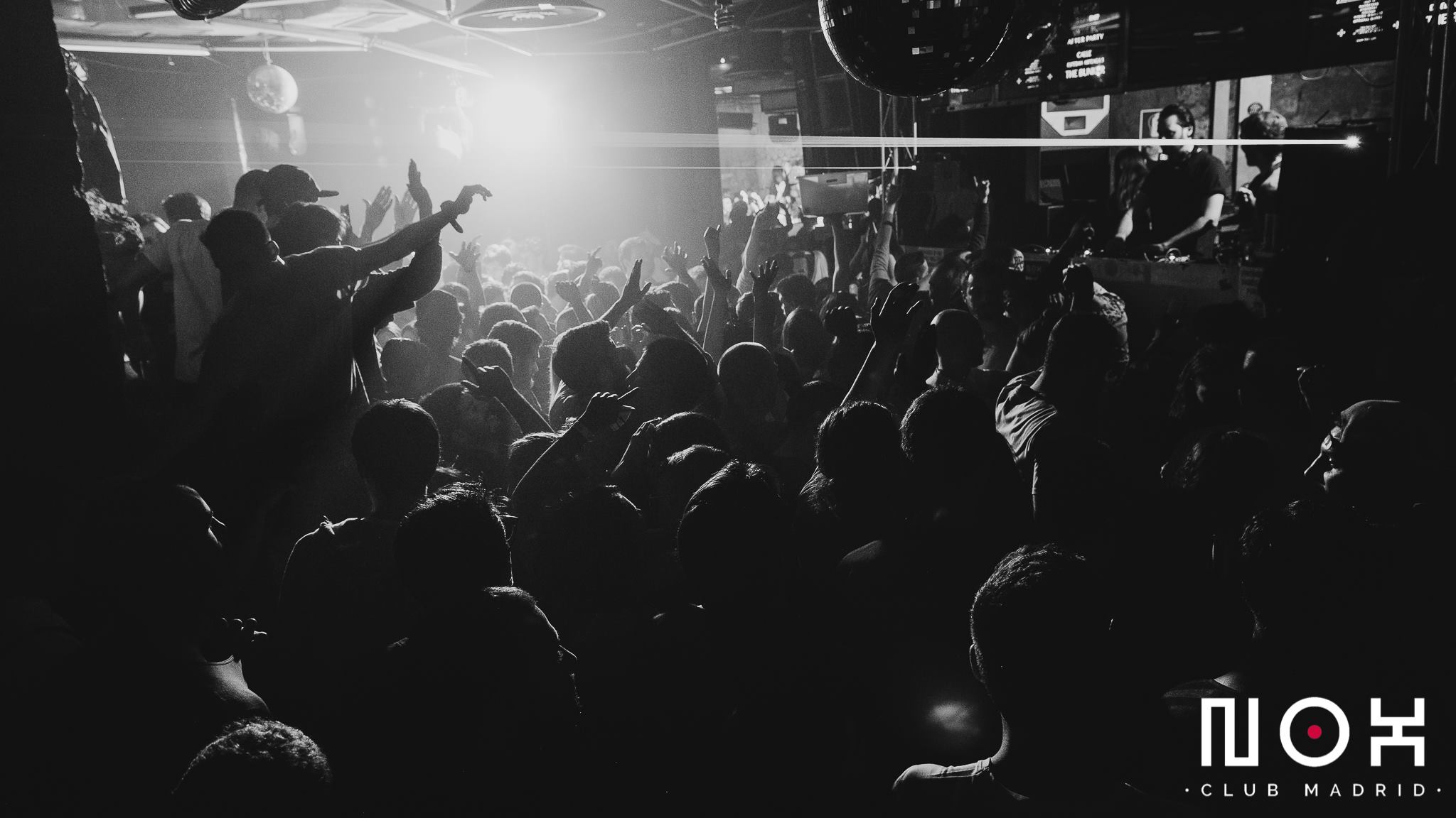 Maxime gallery image