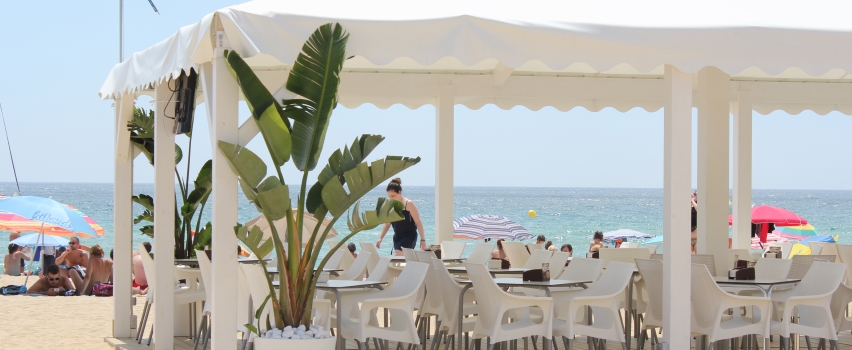 Mil Olas Lounge Beach gallery image