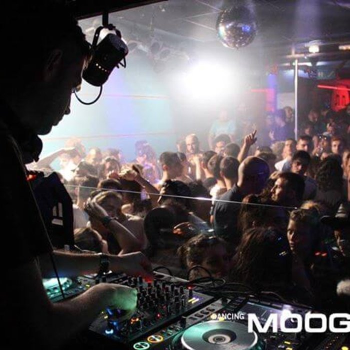 Moog