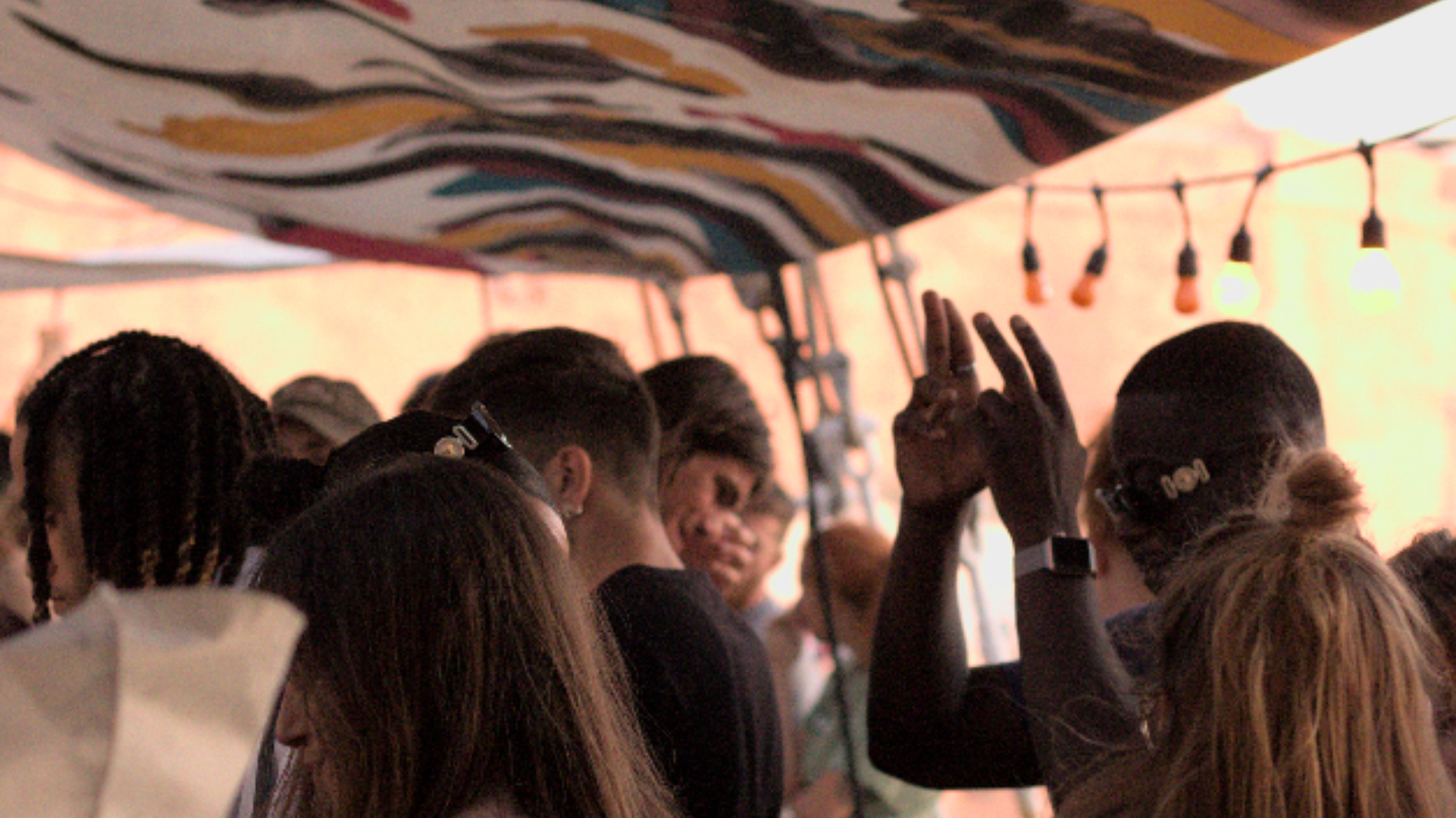 Noctilio gallery image