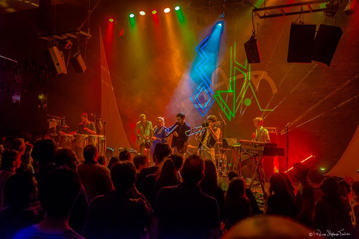 Nu Bahia gallery image