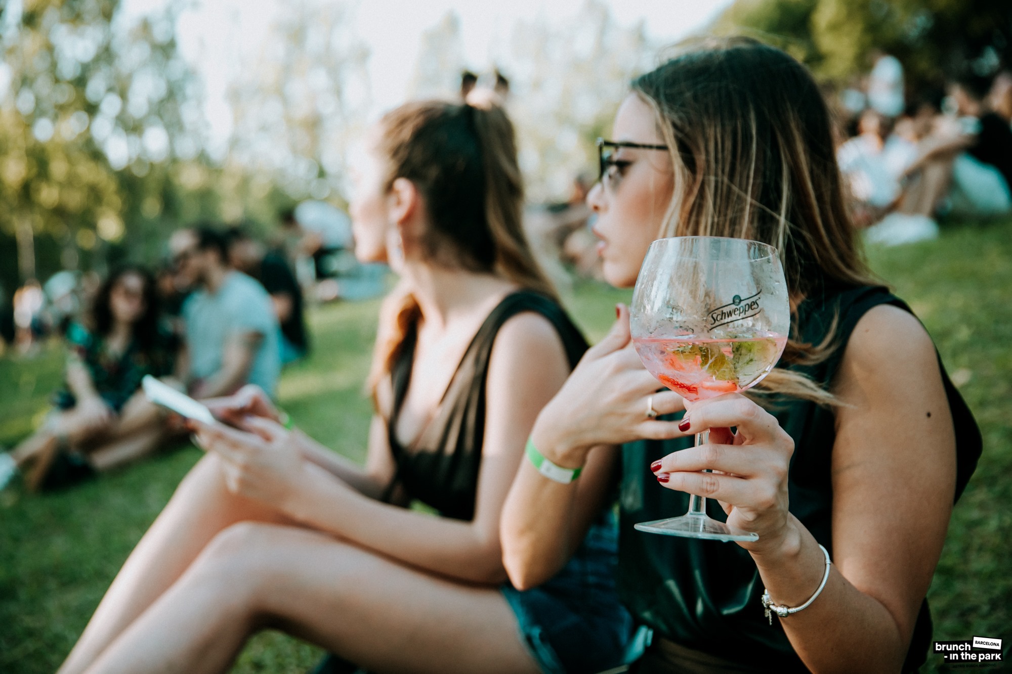 Palmetum Santa Cruz gallery image