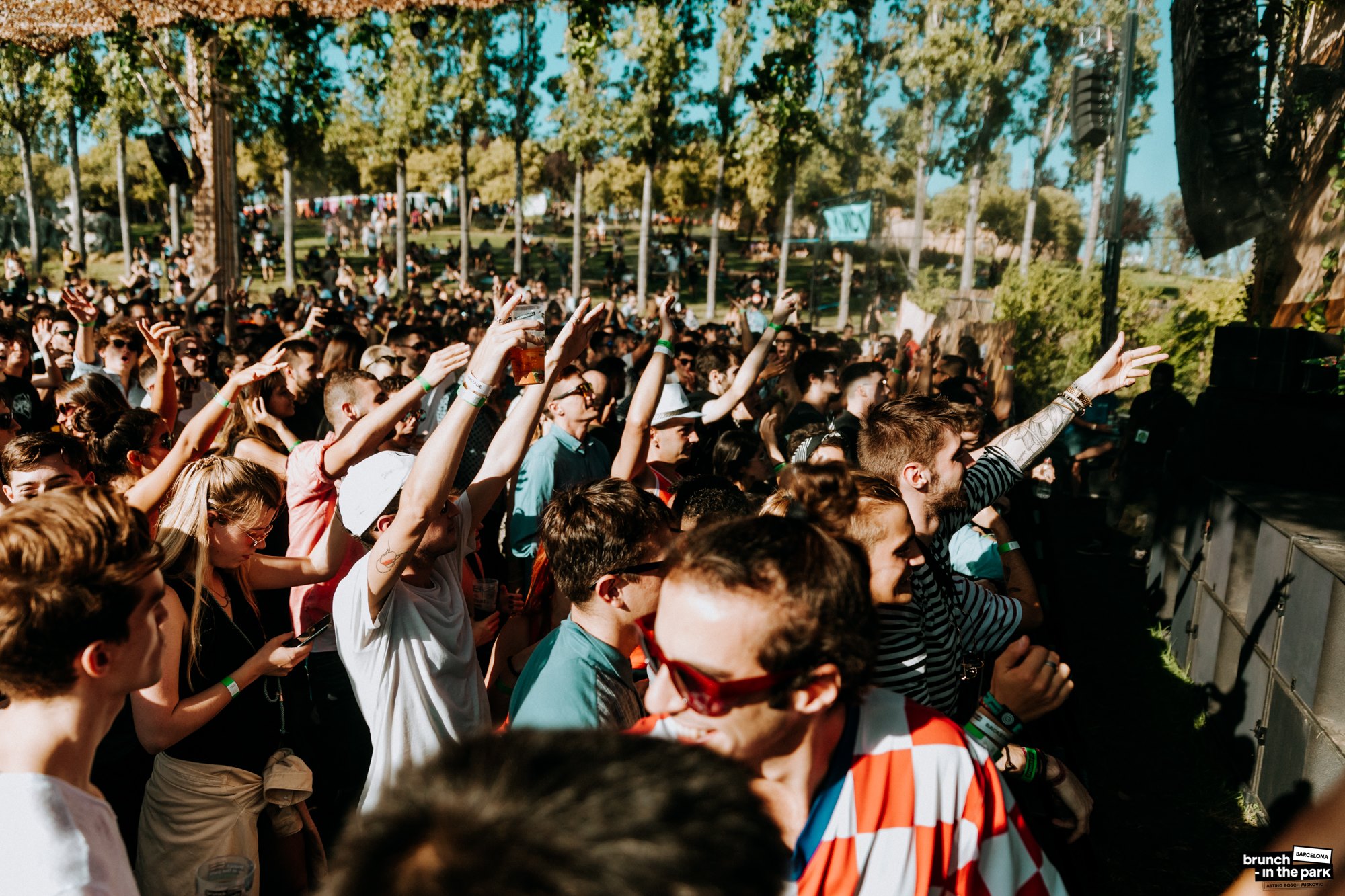 Palmetum Santa Cruz gallery image