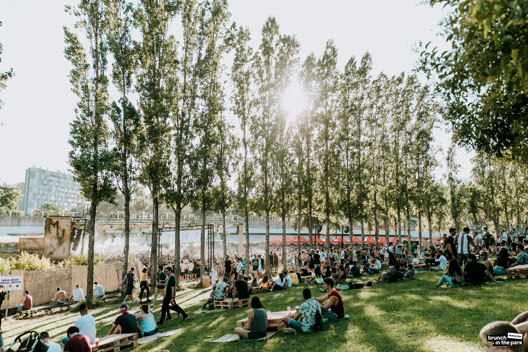 Palmetum Santa Cruz gallery image